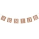 thumbnail image 1 of Popular! 3 Meters Kraft Paper Banner With SENIOR Letters Hanging Pennant Banner Flagsfor Graduation Party Decor, 1 of 4