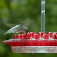 Shirem Hummingbird Water Feeder, Sherem Hummingbird Feeding Tube