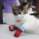 thumbnail image 3 of 4 Piezas Calcetines Inferiores Antideslizantes Accesorios Perro Gato Domestico Moderno - Rojo L L Colco Calcetines de perro mascota, 3 of 6