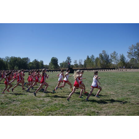 LAMINATED POSTER Start Runners Race Xc Starting Line Cross Country Poster Print 24 x