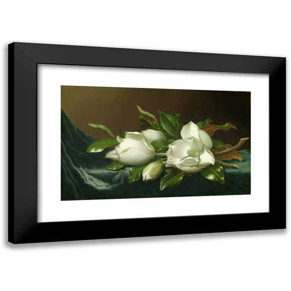 Martin Johnson Heade 14x10 Black Modern Framed Museum Art Print Titled - Magnolias on Light Blue Velvet Cloth (1885)