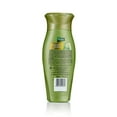 thumbnail image 2 of Dabur Vatika Shampoo Henna, 2 of 2