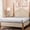 Light Grey, variant on PROMEED 23 Momme Silk Deep Pocket Fitted Sheet ONLY King Size, High Grade 6A+ Mulberry Silk Cooling Bed Sheet 1PC, Fits up to 16-Inch Mattress (Champagne, King)