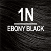 1N Ebony Black