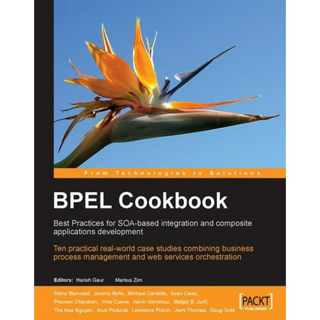 BPEL Cookbook: Best Practices for SOA-based integration and composite applications development - (Dashboard Development Best Practices)