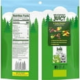 thumbnail image 2 of Black Forest Gummy Worms BCF26 Candy, Made With Real Fruit Juice, Resealable Bag, 22 Ounce, 2 of 2