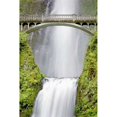 thumbnail image 2 of Water Under the Bridge Poster Print by Douglas Taylor, 2 of 2