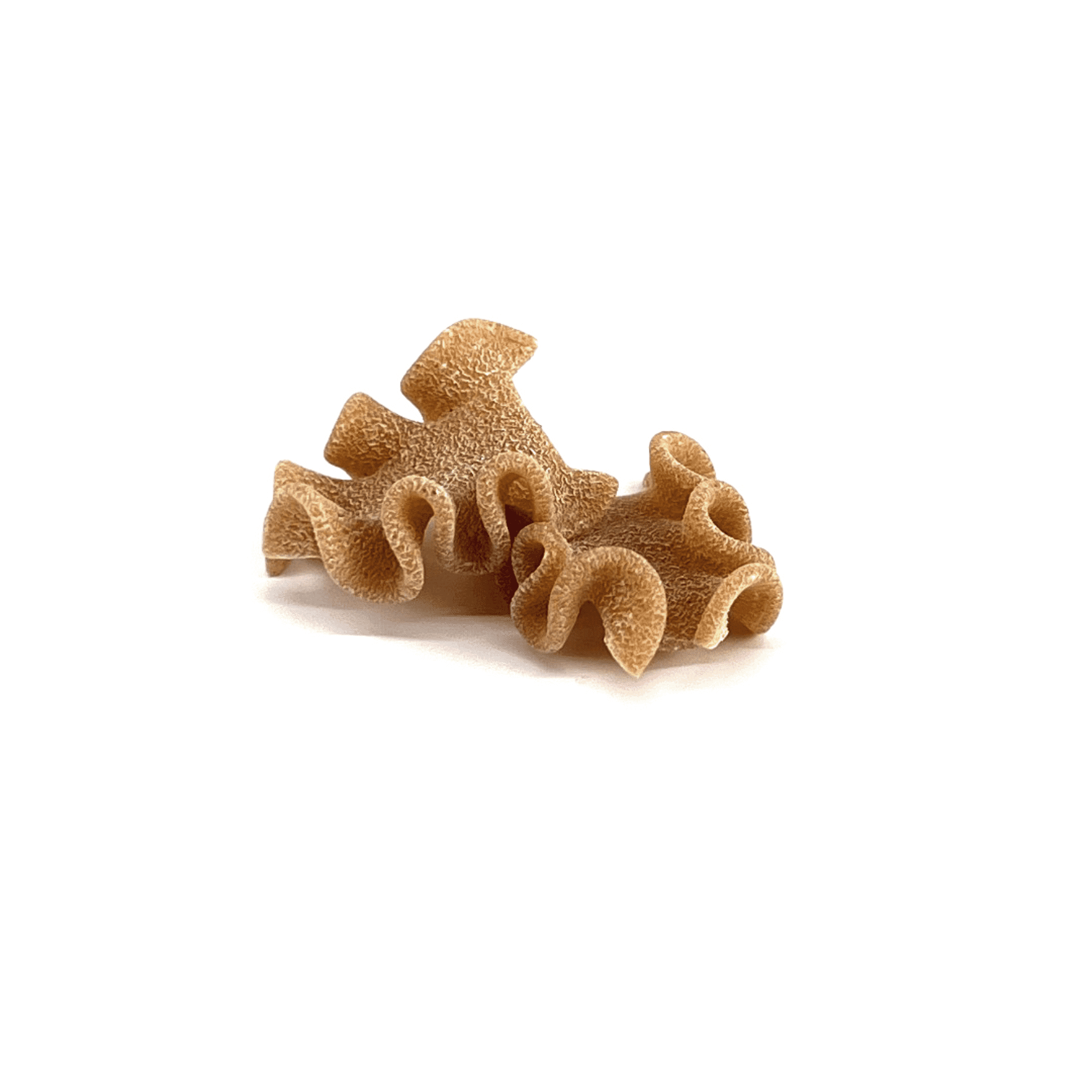 (3 pack) Sfoglini Organic Whole Grain Reginetti Pasta, Shelf-Stable, 12 oz Box
