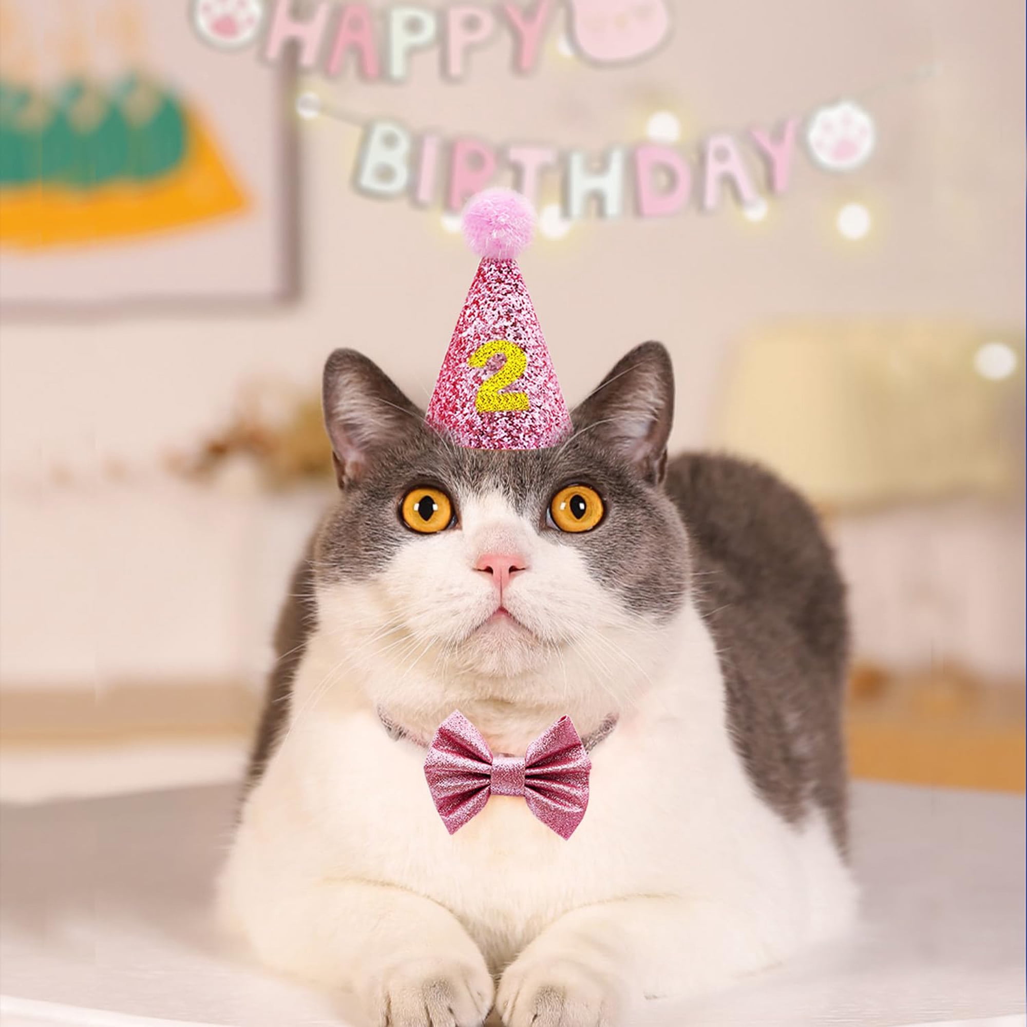 Cat birthday party supplies, cute cat birthday hat and bow tie collar, fish catnip chew toy, pink banner decorations for cat , photo props, pink