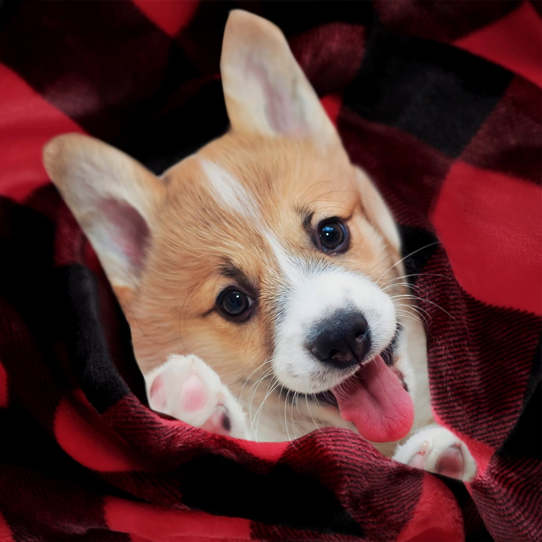 Unique Bargains Soft Plush Couch Plaid Fleece Throw Blanket, 50" x 60", Red and Black