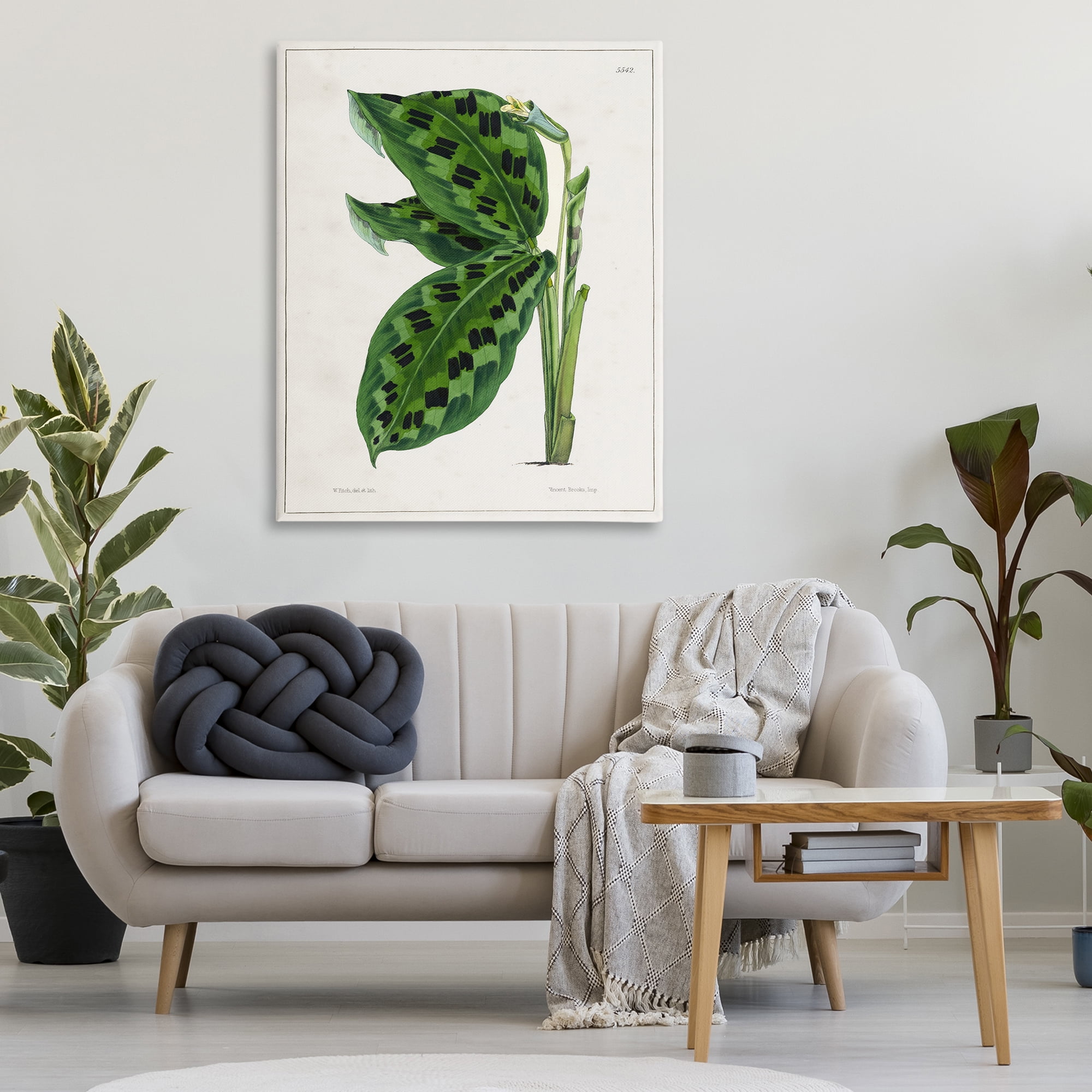 Stupell Industries Lush Plant Leaf Study Plants & Flowers Painting Wrapped Canvas Art Print Wall Art, 36 x 48