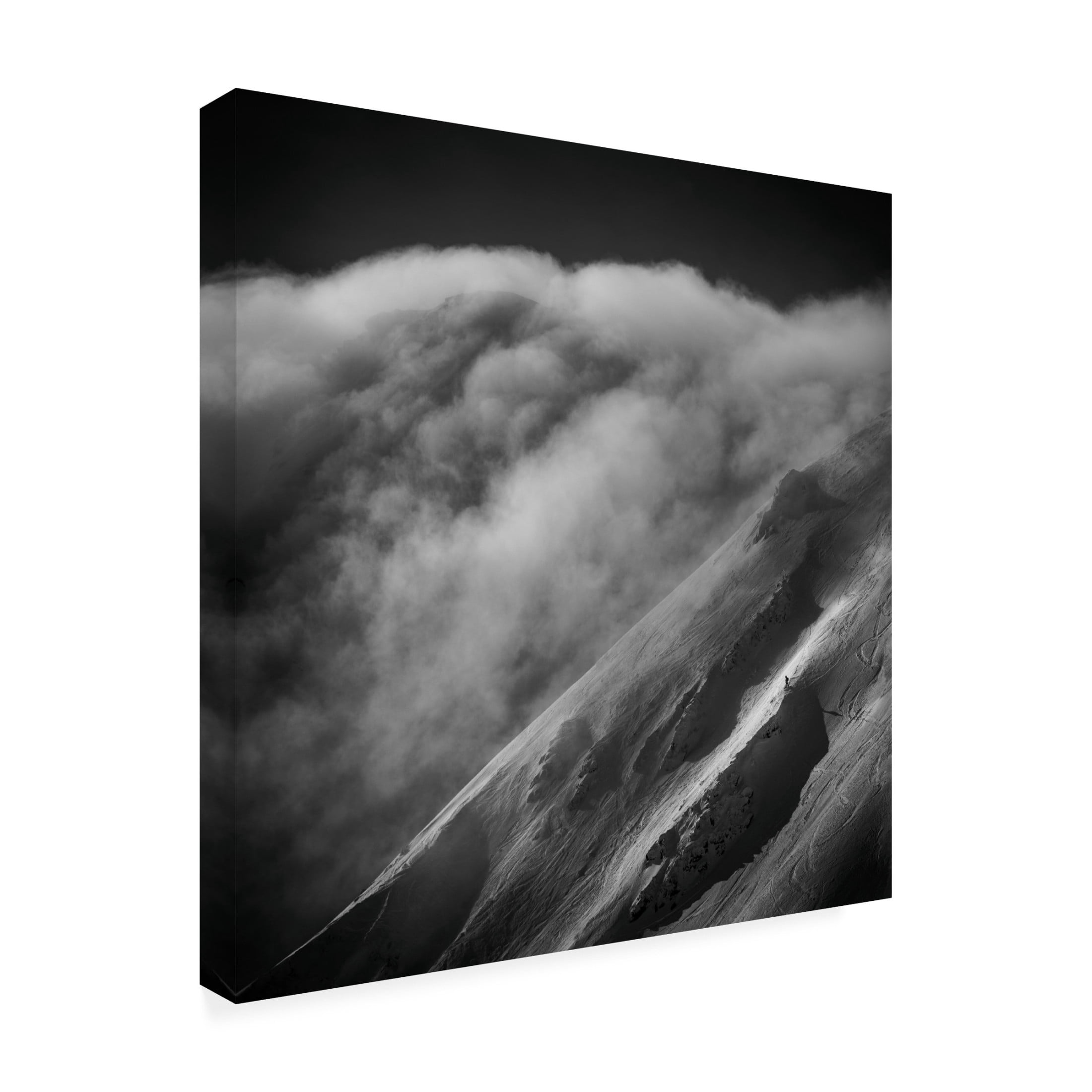 Canvas Wall Art - Peter Svoboda MQEP 'And What Now?' Wall Art for Living Room, Bedroom, or Office D?cor by Trademark Fine Art - 14 x 14 Inches