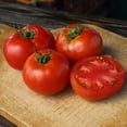 thumbnail image 3 of Harris Seeds - Tomato Big Beef F1 Seeds - Treated Variety - large Fruits - 500 Seeds, 3 of 4