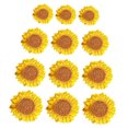 thumbnail image 4 of MLINS 12pcs Embroidery Patches Sunflower Garment Accessories Clothes Sewing Patches, 4 of 8