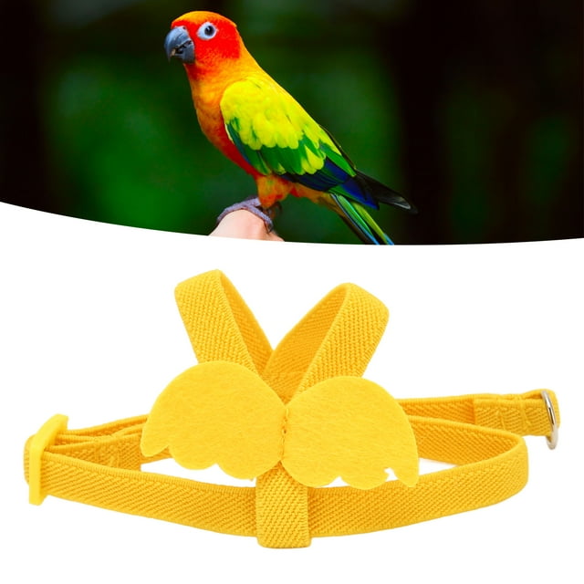 Parrots Leash, Bird Harness Flying Guide Leash Flight Elastic Training Traction Rope Outdoor Flying Training Rope Kit for Bird Parrots