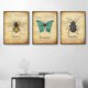 thumbnail image 5 of Pintura Insecto Impresión de Pared Naturaleza Impermeable Sin Agrhramed Art Owlet Animal Poster Decoración Dormitorio Sala de estar Baño 3 unids Methold HA011003-00, 5 of 7