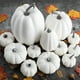 thumbnail image 5 of Juego de 12 calabazas artificiales vívidas para decoración de fiestas. Blanco, 5 of 9