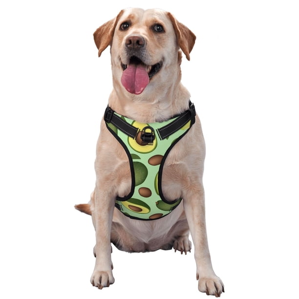 Fotbe Avocado With Seeds Arnés para Perro con Estampado –Chaleco Ajustable Acolchado con Asa de Control para Perros Grandes-Small