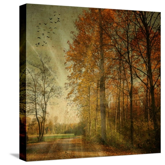 Art.com Ray Fall Stretched Canvas Print Wall Art by Philippe Sainte-Laudy, 16" x 16"