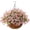 Pink, variant on Artificial Hanging Flowers for Outdoor Indoor Spring Decor,Faux Silk Flower Arrangement,6 Branches Daisy with 12 Inch Coconut Lining Chain for Garden Decoration(Purple White Rose)