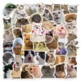 thumbnail image 1 of 50-Pack Cute Cat Sticker Pack Beautiful Cats Decals for Fans Colorful Cars Laptops Skateboards Water Bottle Bicycles Cell Phones Guitar Trunk Window Teens, 1 of 4
