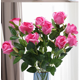 thumbnail image 4 of Xiao Hua 12 flores artificiales de rosa de montaña nevada, flores falsas, flores artificiales para decoración de bodas, 4 of 5