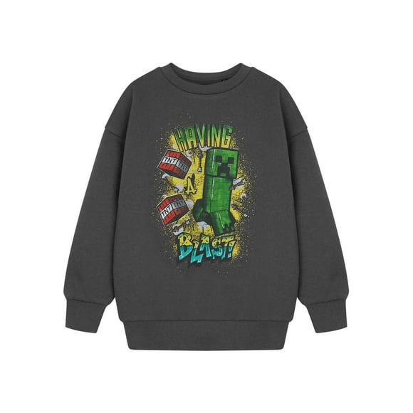 Minecraft Boys Grey Sweatshirt