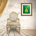 thumbnail image 3 of Wickstrom, Martin 15x18 Gold Ornate Wood Framed with Double Matting Museum Art Print Titled - Sunken Dreams Cello, 3 of 4