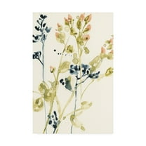 Trademark Fine Art 'Blush Buds I' Canvas Art by Jennifer Goldberger