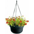 thumbnail image 1 of 12in Dura Cotta Hanging Basket Black, 1 of 1