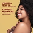thumbnail image 4 of Set de tratamiento capilar SheaMoisture Manuka Honey Curly Hair, 4 of 8