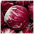 thumbnail image 3 of Everwilde Farms - 2000 Rossa Di Verona Radicchio Endive Seeds - Gold Vault Jumbo Bulk Seed Packet, 3 of 5