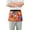 Colorful Balloons Fly, variant on Server Apron with 3 Pockets Waterproof Waitress Waist Short Apron for Man Woman Bluebirds and Forests 12 Inches