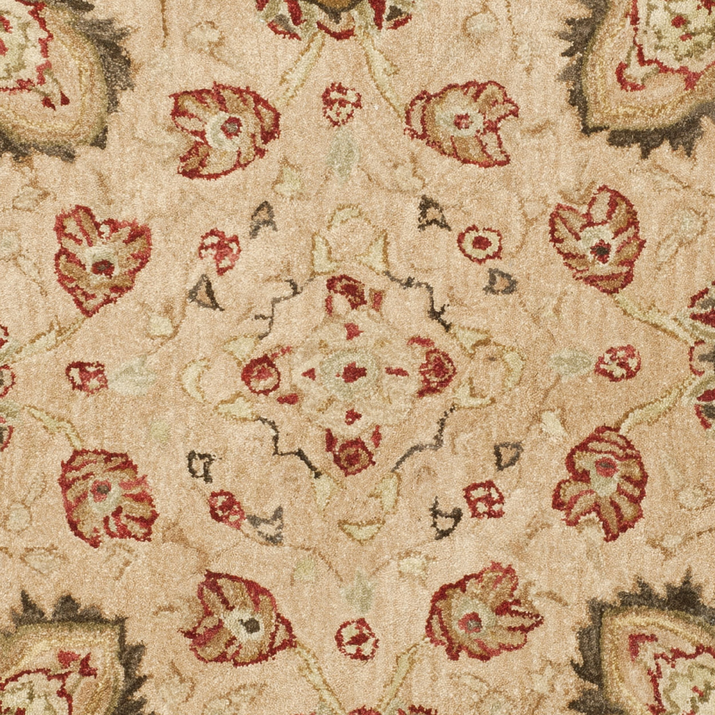 SAFAVIEH Anatolia Venice Traditional Wool Area Rug, Beige, 6' x 6' Round