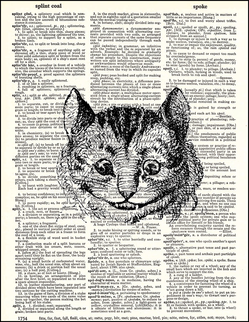 8 x 10.5 Dictionary Art Print Printed On Authentic Vintage Dictionary Book Page Hot Air Balloons