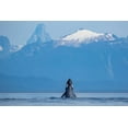 thumbnail image 2 of Souders, Paul 24x17 White Modern Wood Framed Museum Art Print Titled - Alaska-Humpback Whale lunges while head slapping in Frederick Sound near Kupreanof Island, 2 of 4