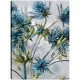 thumbnail image 1 of Cuadro Decorativo - Flores índigo Jr Impresión en canvas, estrechado., 1 of 1