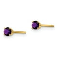 thumbnail image 2 of 14k 3mm February/Amethyst Post Earrings in 14k Yellow Gold, 2 of 3