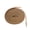 Coyote Brown, variant on Bread Elastic Shoelaces, No Tie Stretch Shoelaces for Easy Slip-on, Sea Green, 63"