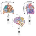 thumbnail image 3 of Heart Lung Brain Acrylic Retractable Badge Reel Rotating Clip ID Badge Holder, 3 of 9