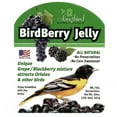 Songbird Essentials Grape Jelly for Bird Feeders Birdberry Jelly 20 oz