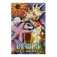 thumbnail image 2 of Lewes, Delaware, Shells Montage (19x27 inches, Premium 500 Piece Jigsaw Puzzle for Adults and Family, Made in USA), 2 of 4