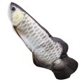 thumbnail image 1 of 1pcs Fish Plush Toy, 1 of 2