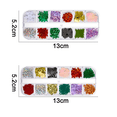thumbnail image 2 of Arte de uñas de lentejuelas coloridas, pegatinas de escamas de lentejuelas finas con purpurina, pegatinas de uñas de Navidad Adepaton CPB-CJZ248-1, 2 of 5