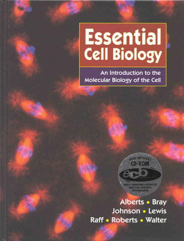 Essential cell biology irg71c28u