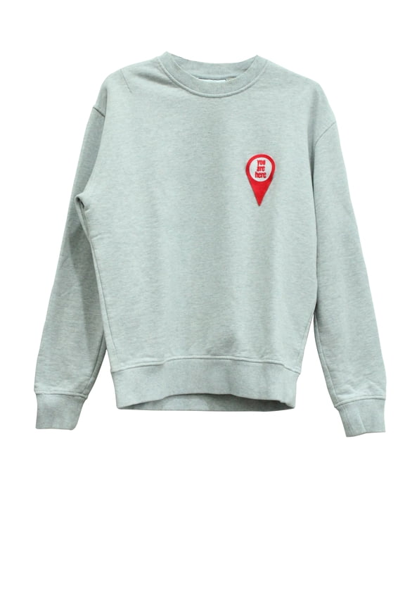 Pre-Owned Ami "You Are Here" Sweatshirt in Grey Cotton