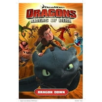 Pre-Owned Dragons Riders of Berk: Dragon Down (Paperback) 1782760768 9781782760764
