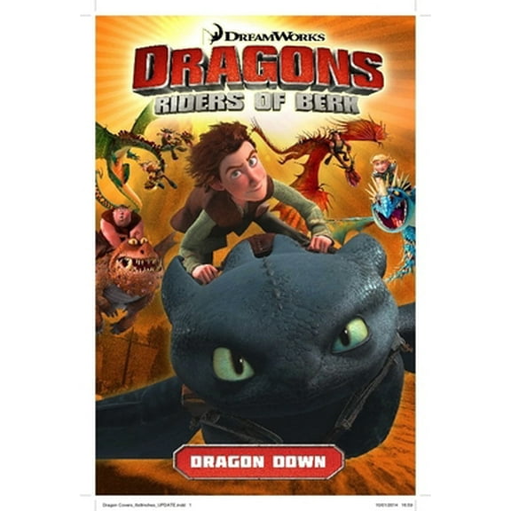 Pre-Owned Dragons Riders of Berk: Dragon Down (Paperback) 1782760768 9781782760764