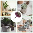 thumbnail image 5 of Uxcell Mini Artificial Succulents Unpotted Faux Succulent Picks Fake Succulent Plants Dark Purple Green 2 Pack, 5 of 6