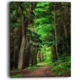 thumbnail image 2 of Dreamy Greenery in Dense Forest - Forest Canvas Art Print, 2 of 3